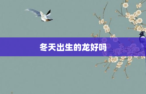 冬天出生的龙好吗