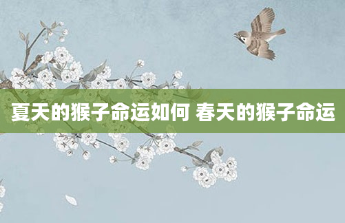 夏天的猴子命运如何 春天的猴子命运