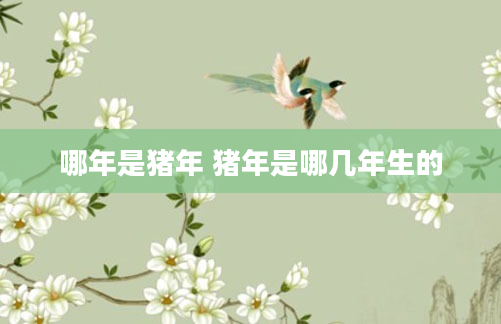 哪年是猪年 猪年是哪几年生的