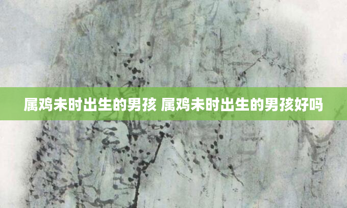 属鸡未时出生的男孩 属鸡未时出生的男孩好吗