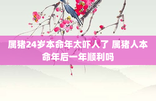 属猪24岁本命年太吓人了 属猪人本命年后一年顺利吗