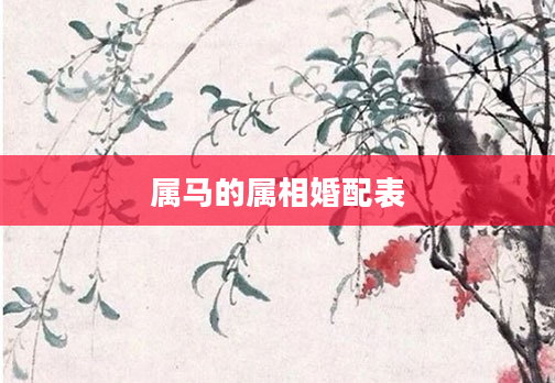 属马的属相婚配表