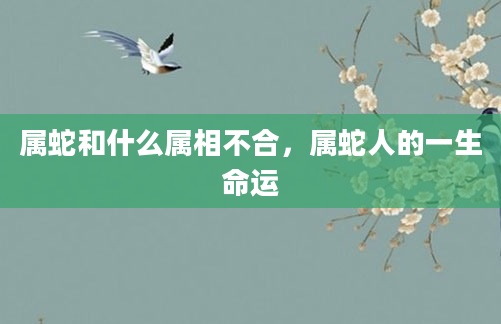 属蛇和什么属相不合，属蛇人的一生命运