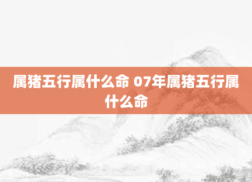 属猪五行属什么命 07年属猪五行属什么命