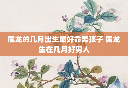 属龙的几月出生最好命男孩子 属龙生在几月好男人