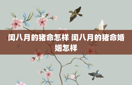闰八月的猪命怎样 闰八月的猪命婚姻怎样