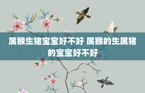 属猴生猪宝宝好不好 属猴的生属猪的宝宝好不好