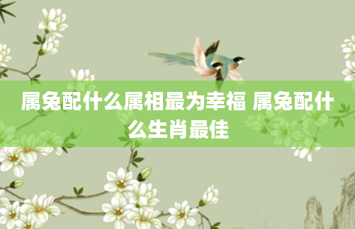 属兔配什么属相最为幸福 属兔配什么生肖最佳