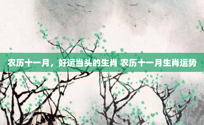 农历十一月，好运当头的生肖 农历十一月生肖运势