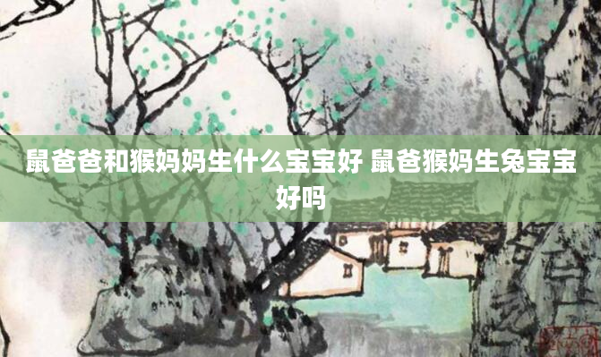 鼠爸爸和猴妈妈生什么宝宝好 鼠爸猴妈生兔宝宝好吗