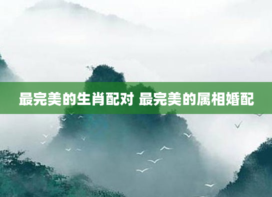 最完美的生肖配对 最完美的属相婚配