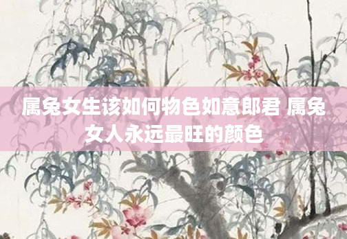 属兔女生该如何物色如意郎君 属兔女人永远最旺的颜色