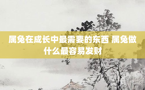 属兔在成长中最需要的东西 属兔做什么最容易发财