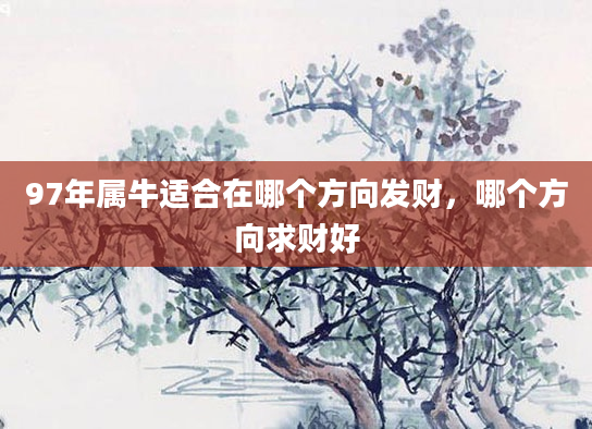 97年属牛适合在哪个方向发财，哪个方向求财好