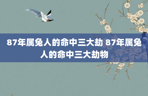 87年属兔人的命中三大劫 87年属兔人的命中三大劫物