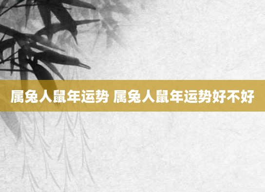 属兔人鼠年运势 属兔人鼠年运势好不好