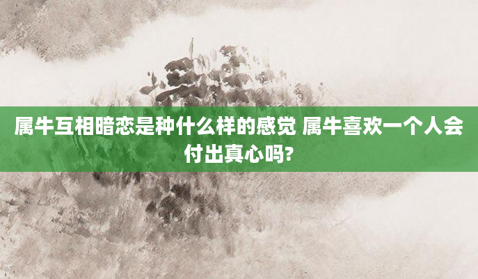 属牛互相暗恋是种什么样的感觉 属牛喜欢一个人会付出真心吗?