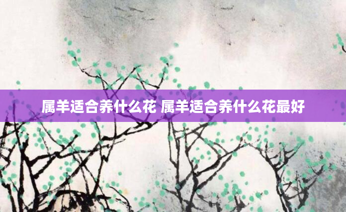 属羊适合养什么花 属羊适合养什么花最好