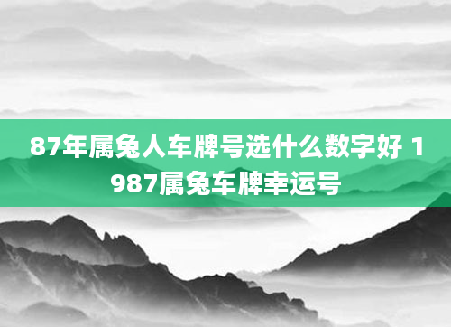 87年属兔人车牌号选什么数字好 1987属兔车牌幸运号