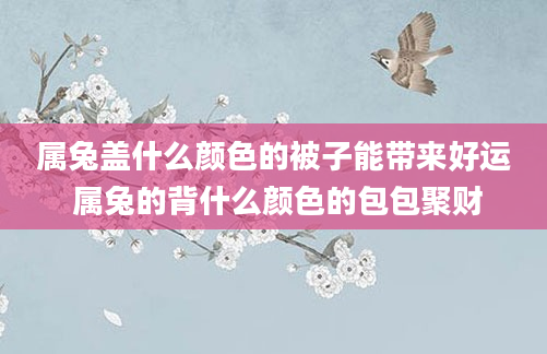 属兔盖什么颜色的被子能带来好运 属兔的背什么颜色的包包聚财