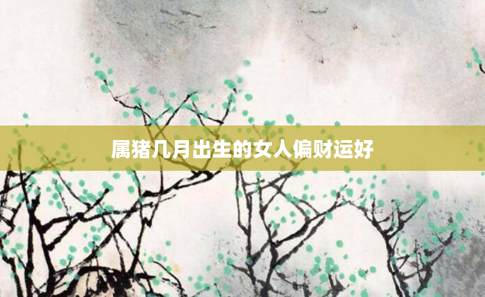 属猪几月出生的女人偏财运好