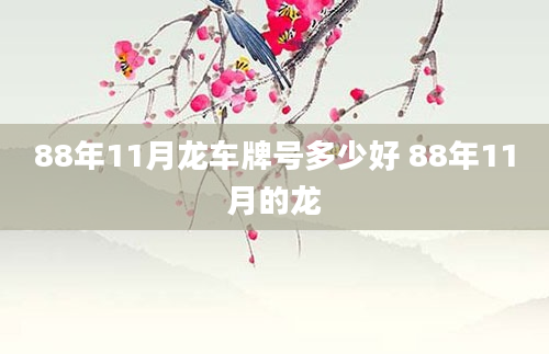 88年11月龙车牌号多少好 88年11月的龙