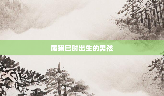 属猪巳时出生的男孩