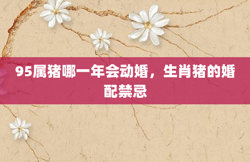 95属猪哪一年会动婚，生肖猪的婚配禁忌