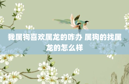 我属狗喜欢属龙的咋办 属狗的找属龙的怎么样