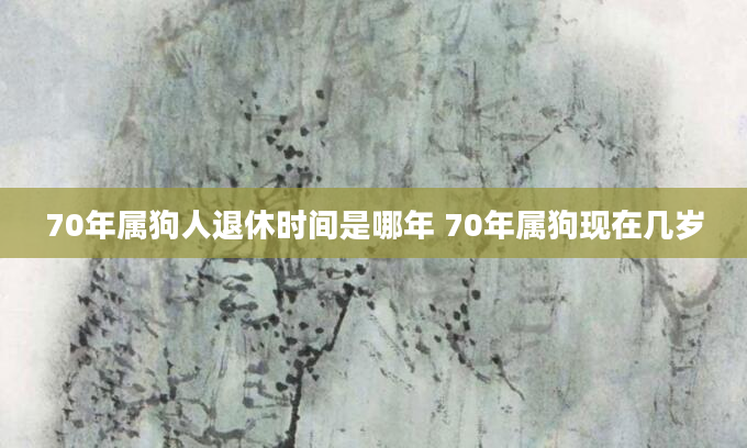 70年属狗人退休时间是哪年 70年属狗现在几岁