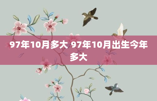 97年10月多大 97年10月出生今年多大