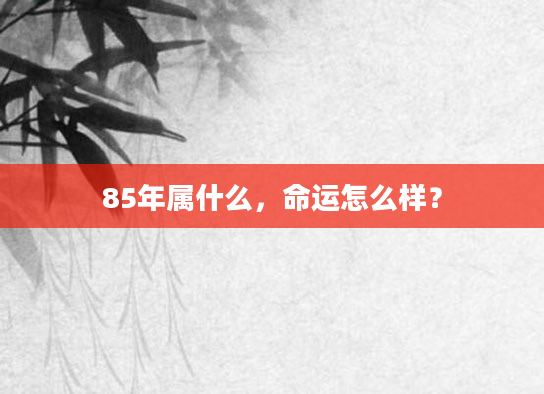 85年属什么，命运怎么样？