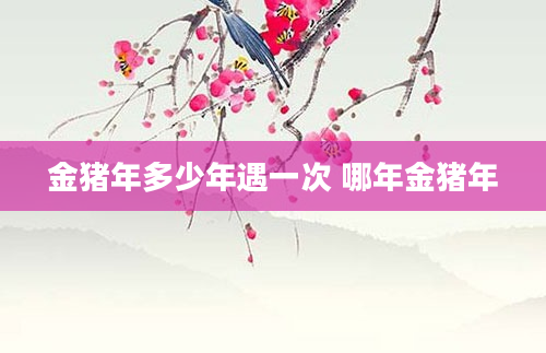 金猪年多少年遇一次 哪年金猪年