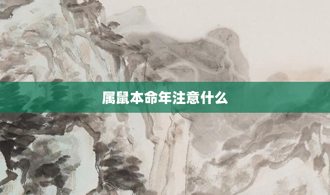 属鼠本命年注意什么