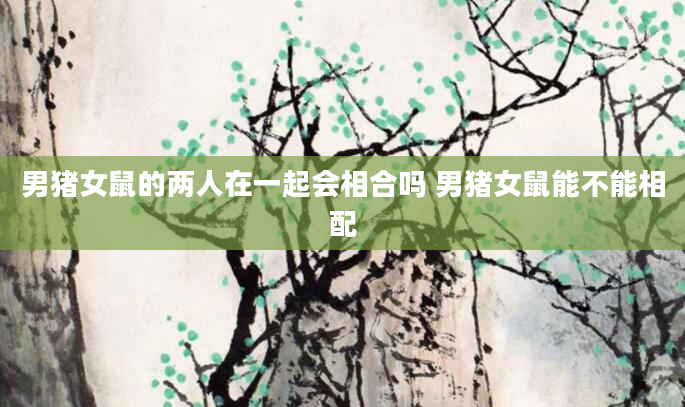 男猪女鼠的两人在一起会相合吗 男猪女鼠能不能相配