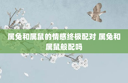 属兔和属鼠的情感终极配对 属兔和属鼠般配吗