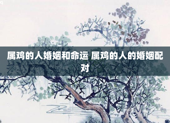 属鸡的人婚姻和命运 属鸡的人的婚姻配对