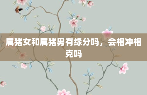 属猪女和属猪男有缘分吗，会相冲相克吗