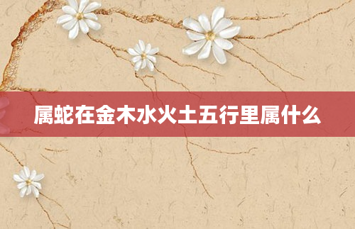 属蛇在金木水火土五行里属什么
