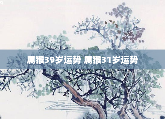 属猴39岁运势 属猴31岁运势
