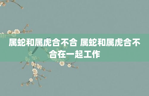 属蛇和属虎合不合 属蛇和属虎合不合在一起工作