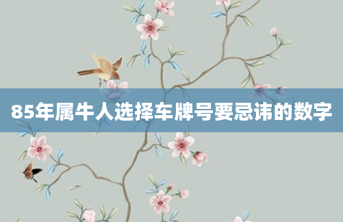 85年属牛人选择车牌号要忌讳的数字