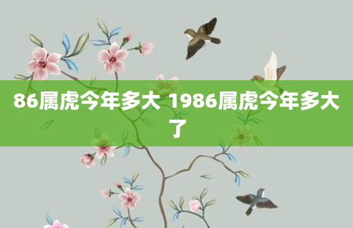 86属虎今年多大 1986属虎今年多大了