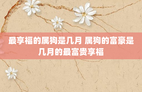 最享福的属狗是几月 属狗的富豪是几月的最富贵享福