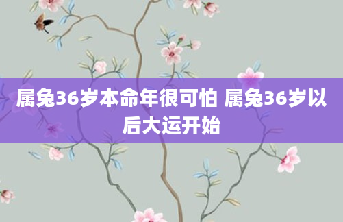 属兔36岁本命年很可怕 属兔36岁以后大运开始
