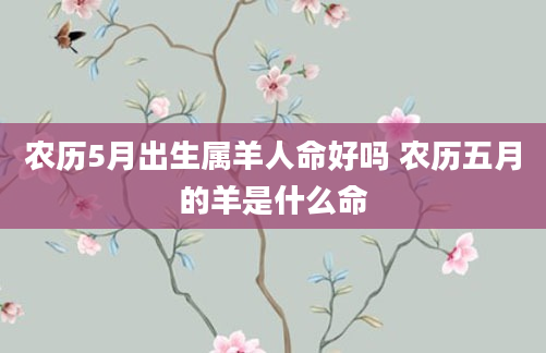 农历5月出生属羊人命好吗 农历五月的羊是什么命