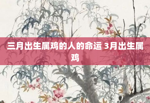 三月出生属鸡的人的命运 3月出生属鸡