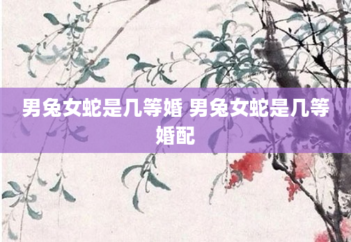 男兔女蛇是几等婚 男兔女蛇是几等婚配