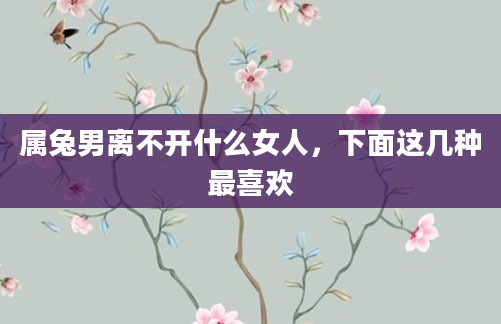 属兔男离不开什么女人，下面这几种最喜欢
