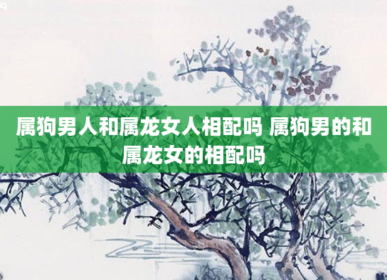 属狗男人和属龙女人相配吗 属狗男的和属龙女的相配吗